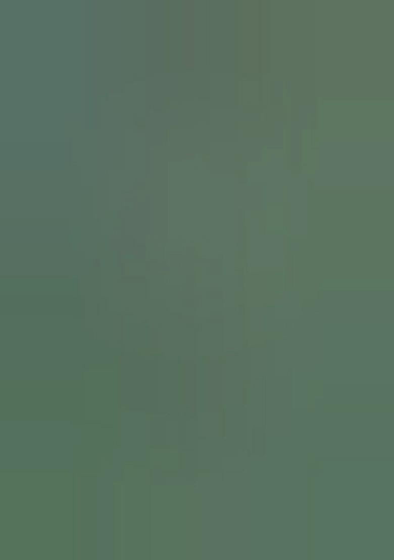 Green Foil Print Chiffon Pre Draped Saree Set - Indya