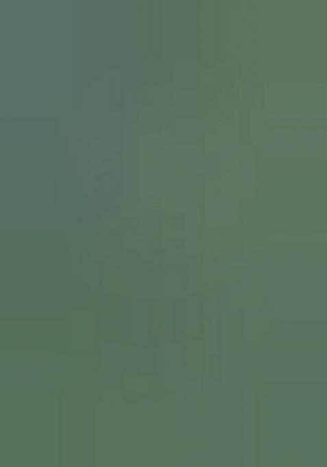 Green Foil Print Chiffon Pre Draped Saree Set