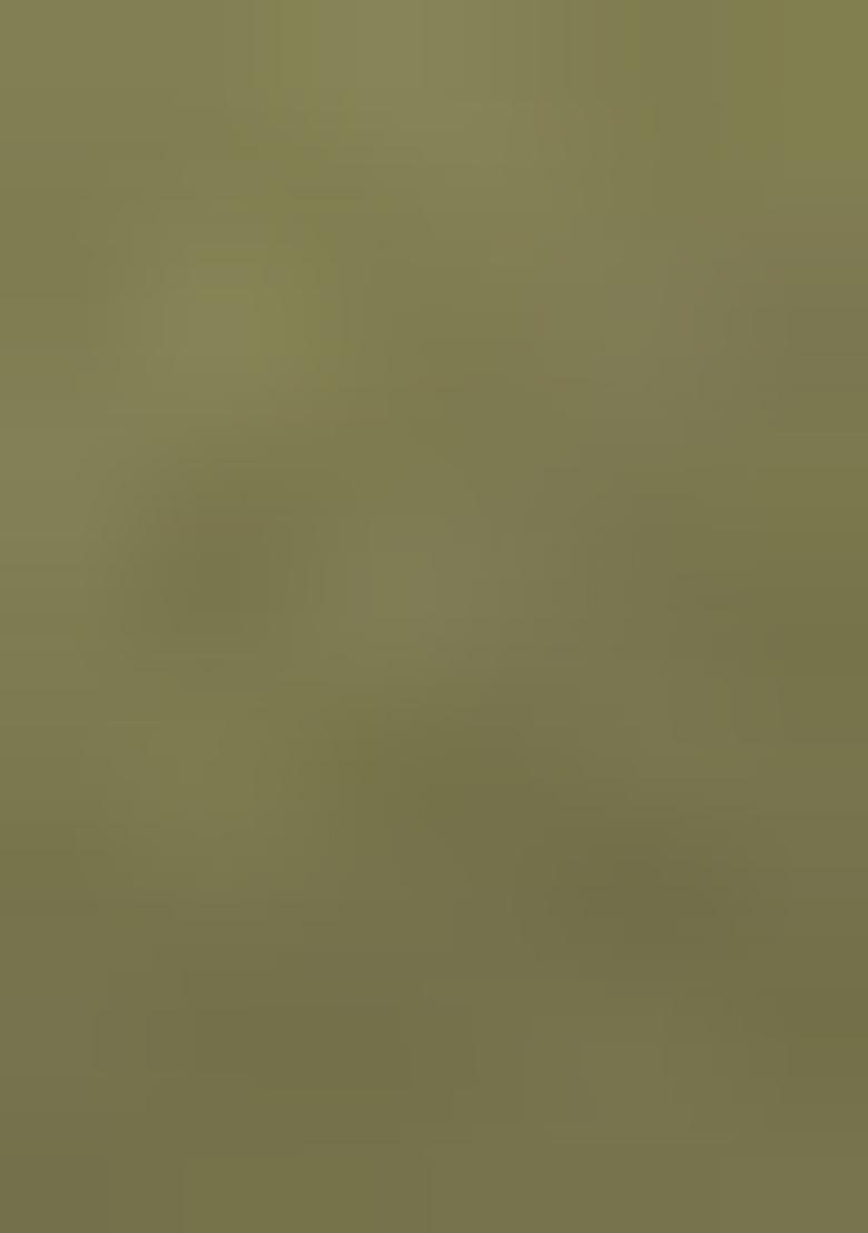 Green And Cream Ombre Shaded With Foil Print Milano Satin Pre Draped Saree Set