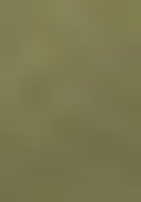 Green And Cream Ombre Shaded With Foil Print Milano Satin Pre Draped Saree Set