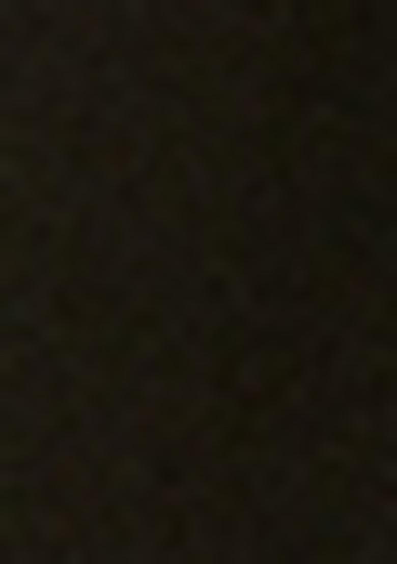 Chiku Brown Embellished Net Pre Draped Saree Set