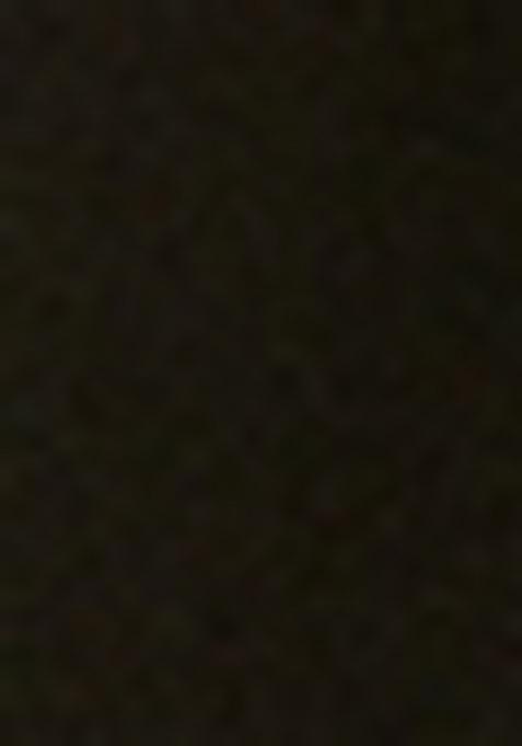 Chiku Brown Embellished Net Pre Draped Saree Set