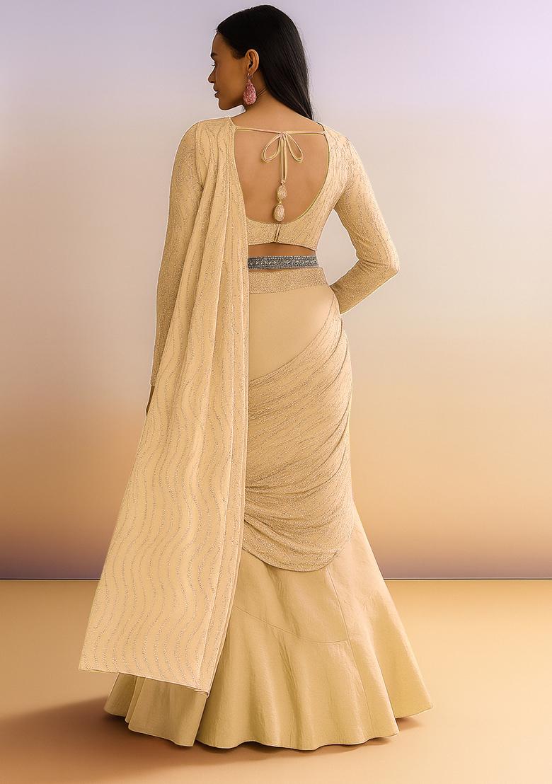 Beige Embellished Net Saree set - Indya