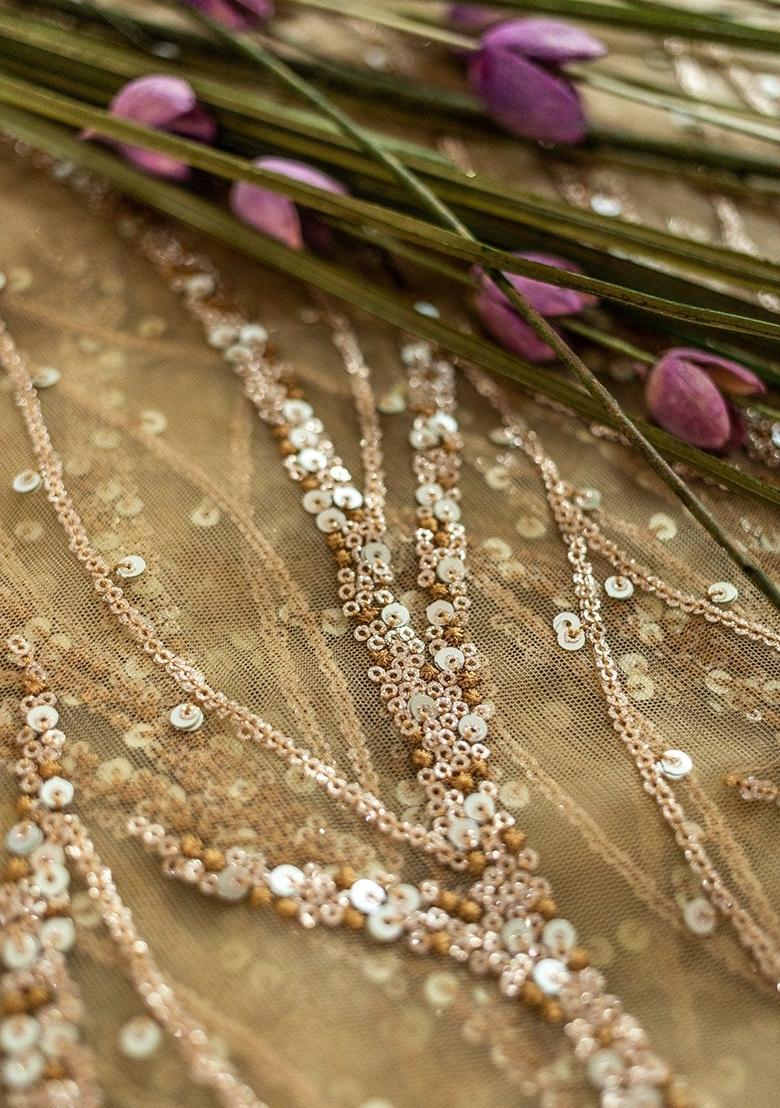 Beige Embellished Net Pre Draped Saree Set