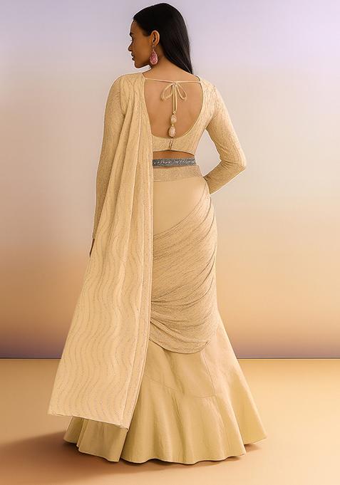 Beige Embellished Net Pre Draped Saree Set