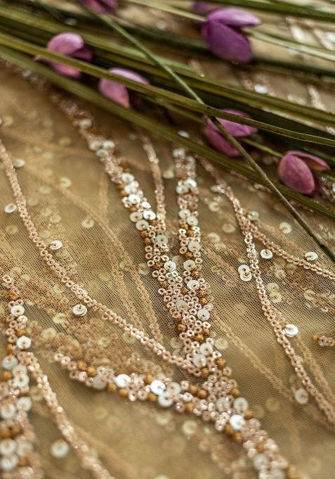 Beige Embellished Net Pre Draped Saree Set