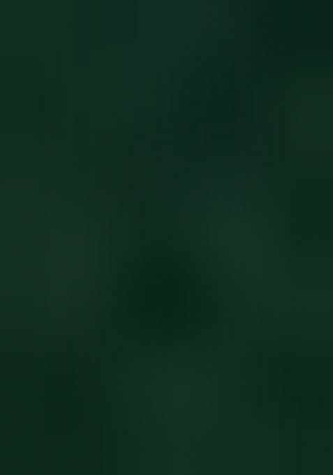 Bottle Green Embellished Net Pre Draped Saree Set