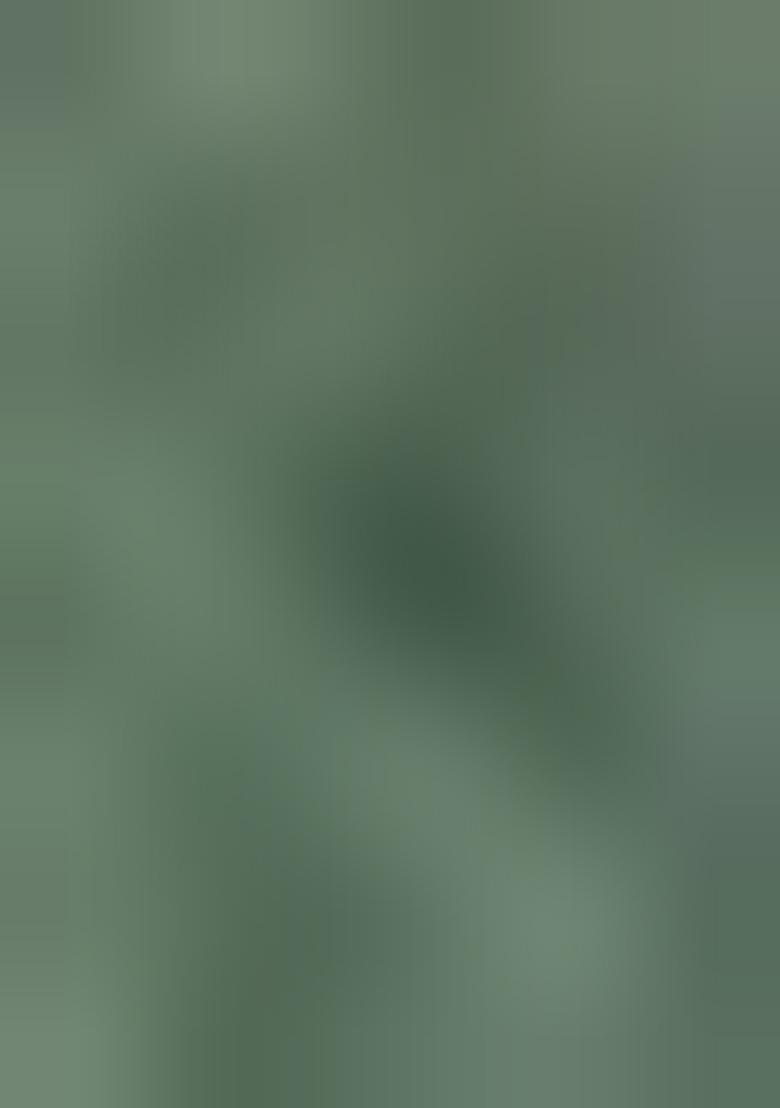 Olive Embroidered Organza Pre Draped Saree Set