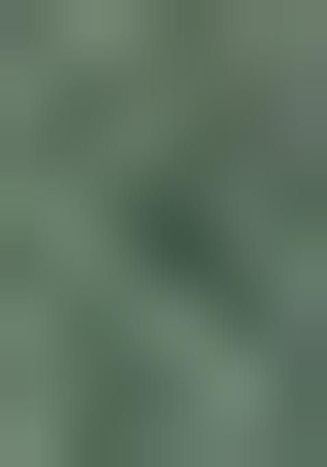 Olive Embroidered Organza Pre Draped Saree Set