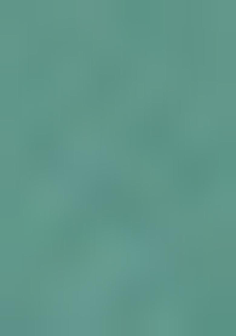 Olive Embellished Organza Pre Draped saree set