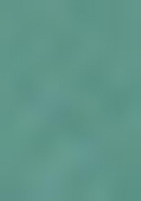 Olive Embellished Organza Pre Draped saree set