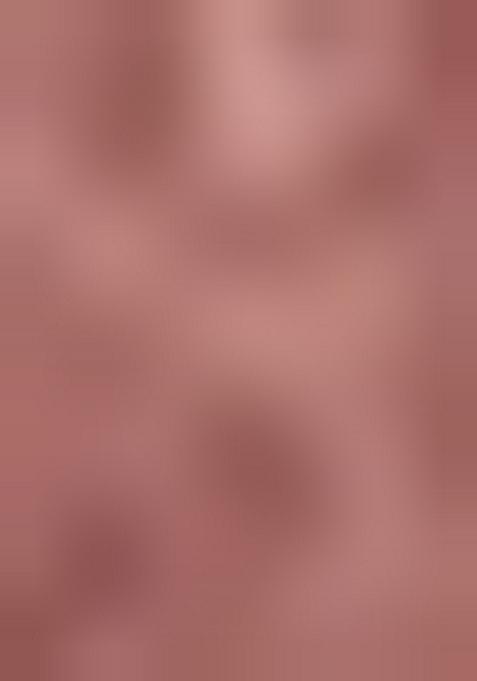 Mauve Embroidered Net Pre Draped Saree Set