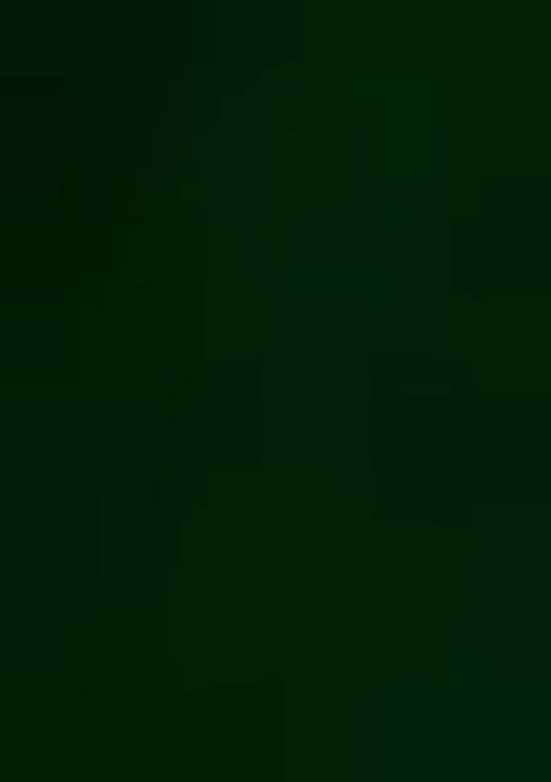 Green Embroidered Georgette Pre Draped Saree Set