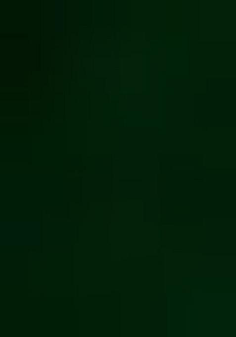 Green Embroidered Georgette Pre Draped Saree Set