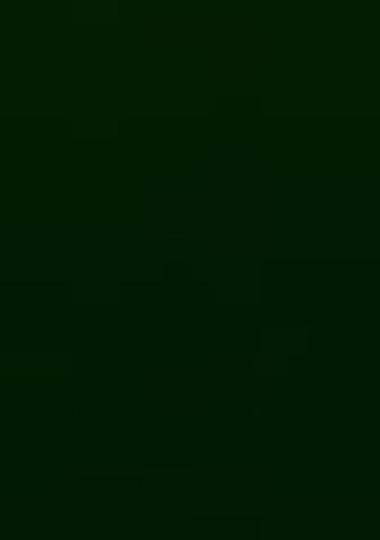 Mehendi Embroidered Georgette Pre Draped Saree Set