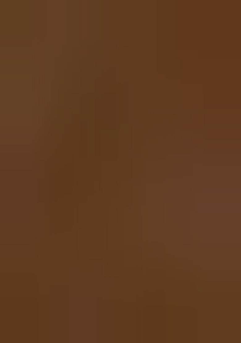 Brown Printed Pre Draped Saree Set