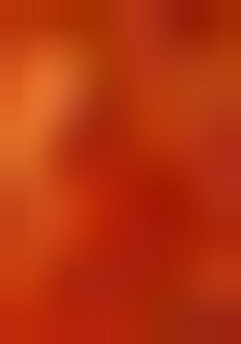 Multicolor Printed Chiffon Pre Draped Saree Set