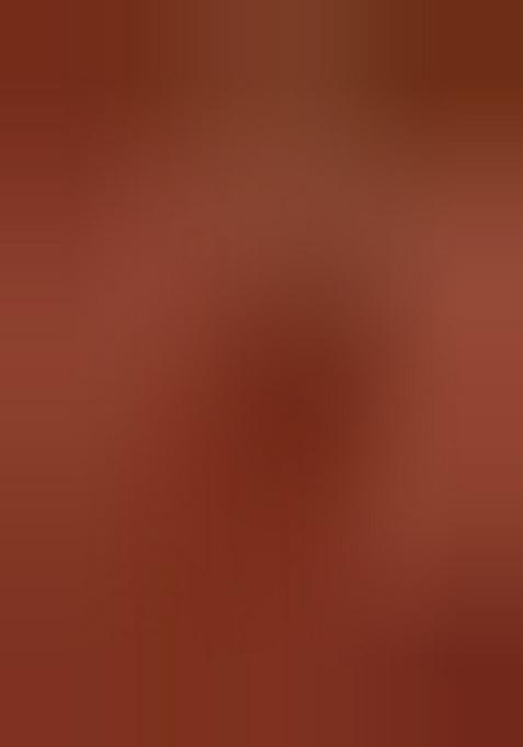 Black Printed Chinon Pre Draped Saree Set