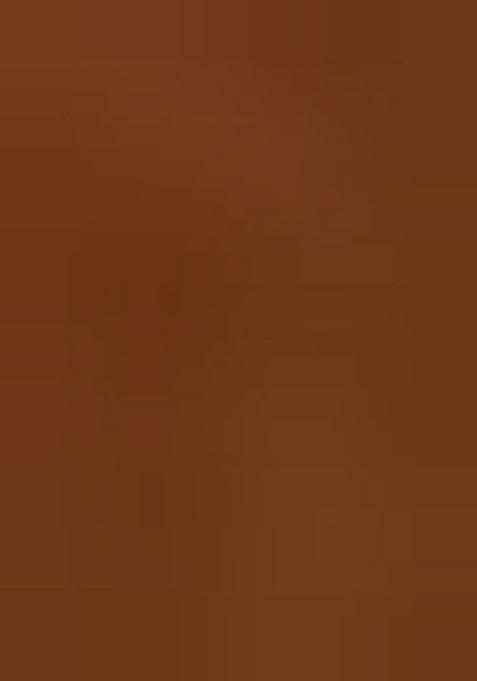 Deep Brown Printed Pre Draped Saree Set