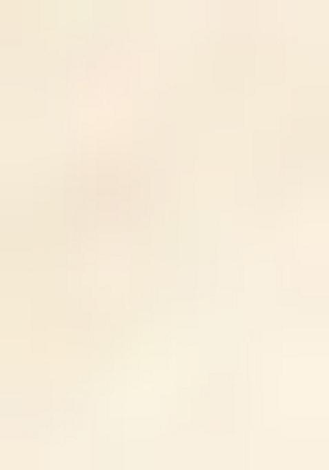 Beige Printed Satin Pre Draped Saree Set