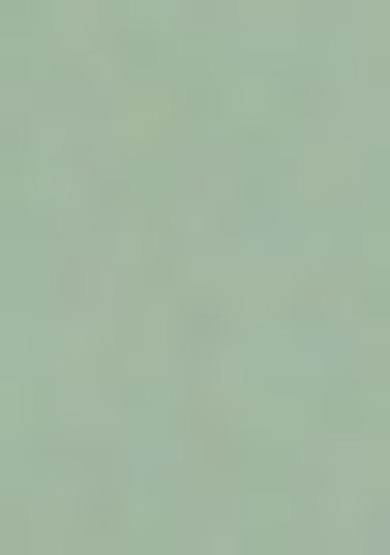 Mint Green Embellished Blouse With Pre Draped Saree Set