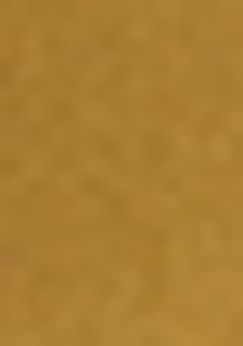 Mustard Embellished Blouse With Pre Draped Saree Set