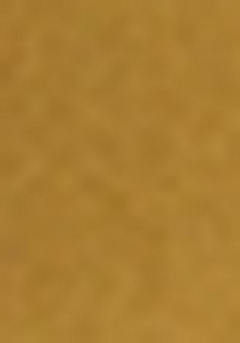 Mustard Embellished Blouse With Pre Draped Saree Set