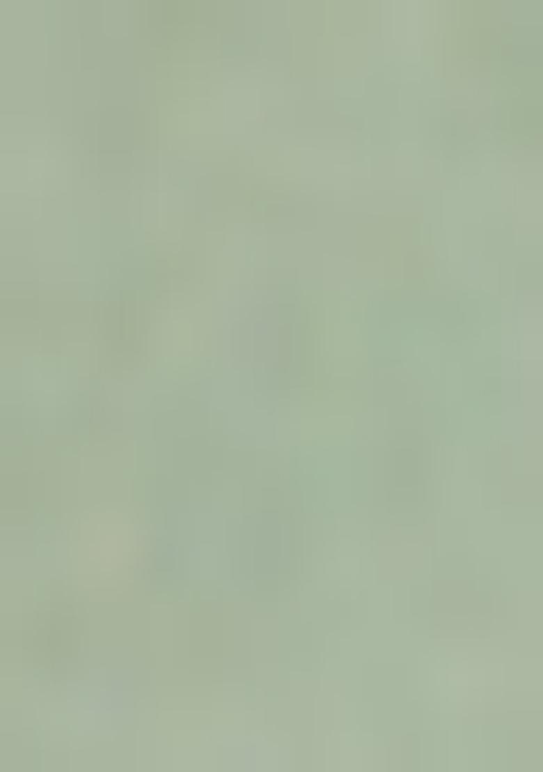 Light Green Embellished Blouse With Pre Draped Saree Set