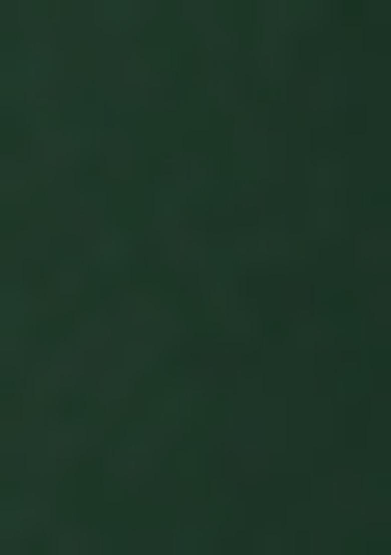 Henna Green Sequin Embellished Blouse Georgette Pre Draped Saree Set