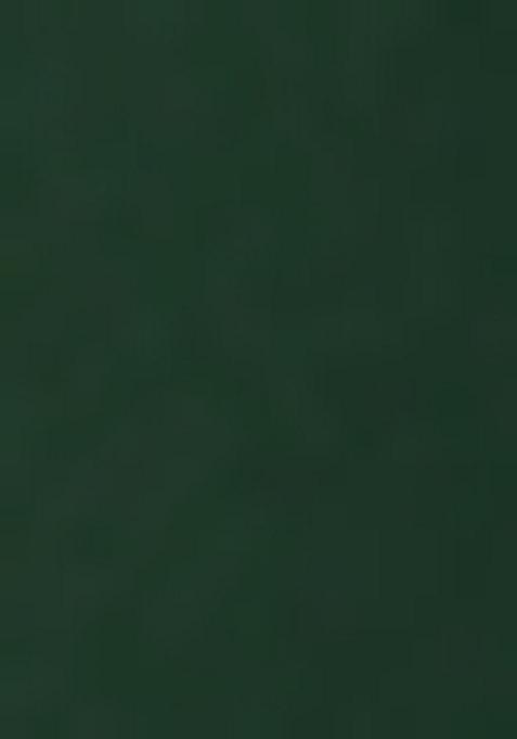 Henna Green Sequin Embellished Blouse Georgette Pre Draped Saree Set