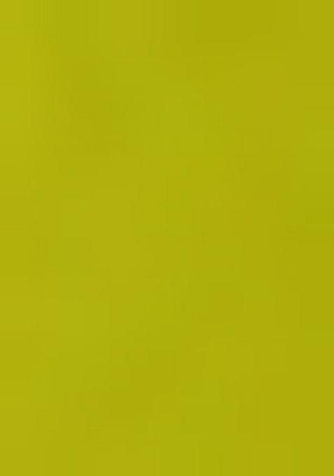 Parrot Green Embroidered Blouse Georgette Pre Draped Saree Set