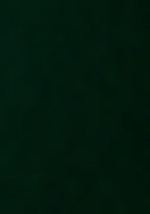 Olive Green Embroidered Blouse Georgette Pre Draped Saree Set