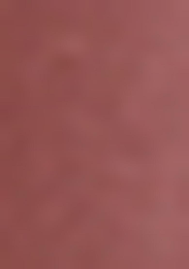 Peach Sequin Embellished Blouse Net Pre Draped Saree Set