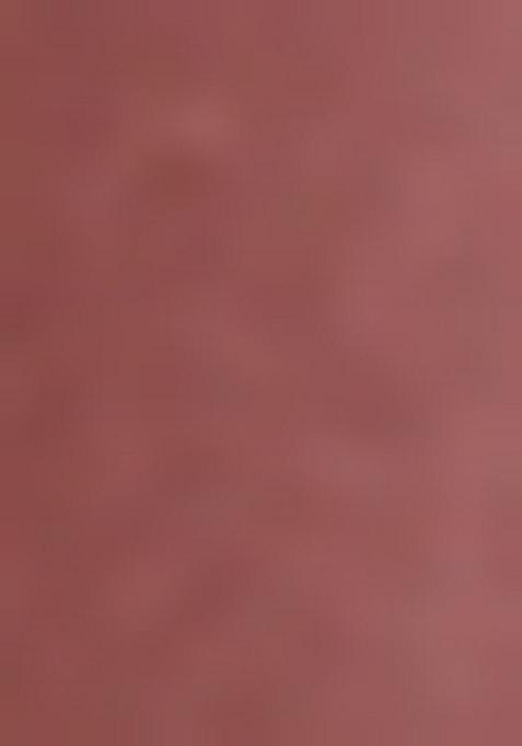 Peach Sequin Embellished Blouse Net Pre Draped Saree Set