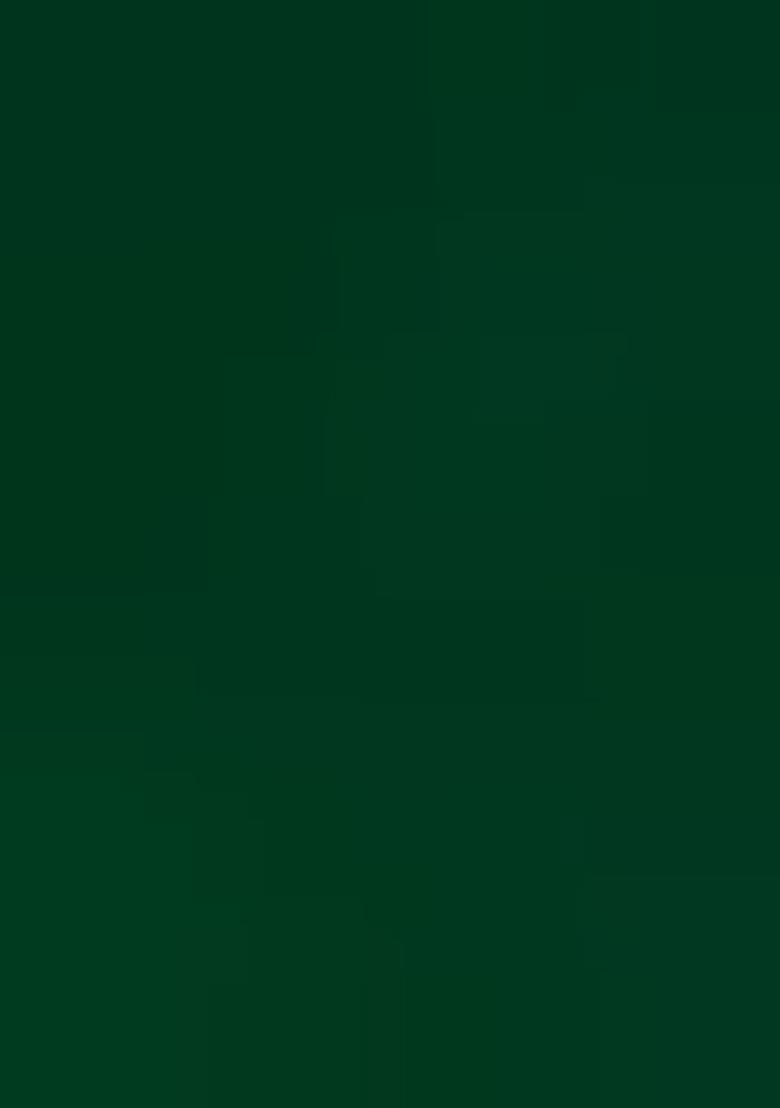 Green Embellished Georgette Pre Draped Saree Set