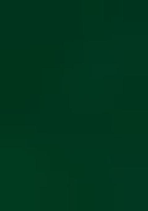 Green Embellished Georgette Pre Draped Saree Set