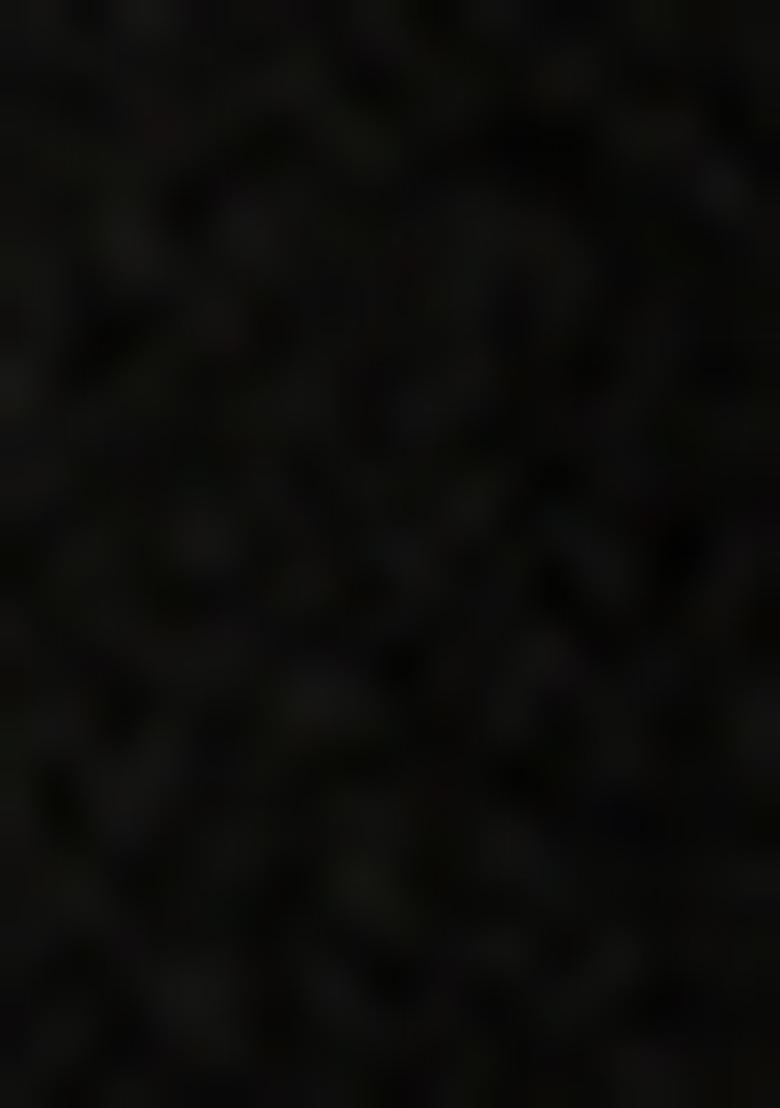 Black Embroidered Georgette Pre Draped Saree Set