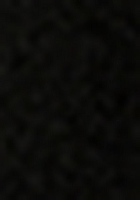 Black Embroidered Georgette Pre Draped Saree Set