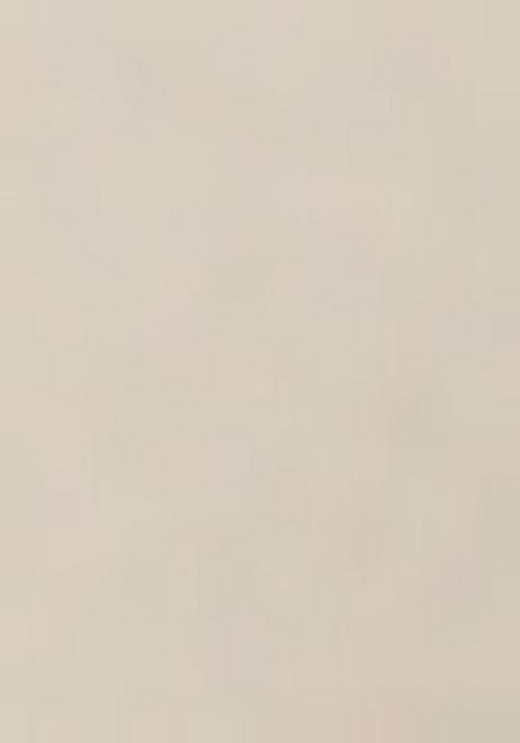 White Sequin Embroidered Georgette Pre Draped Saree Set