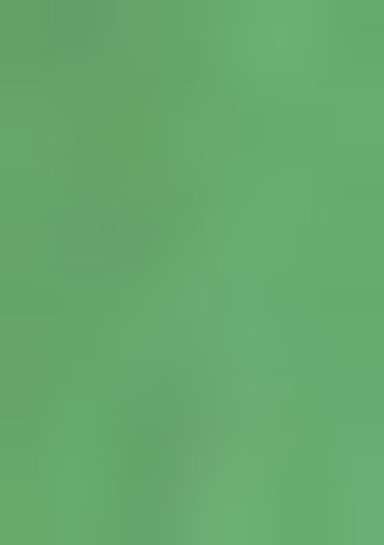 Mint Green Silk Embroidered Crop Top Skirt Set