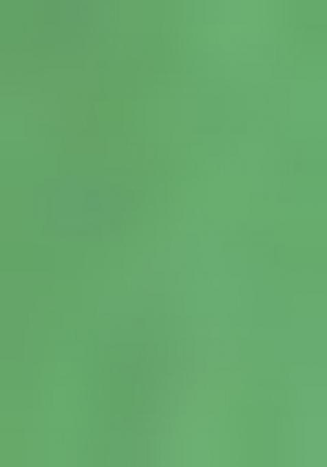 Mint Green Silk Embroidered Crop Top Skirt Set