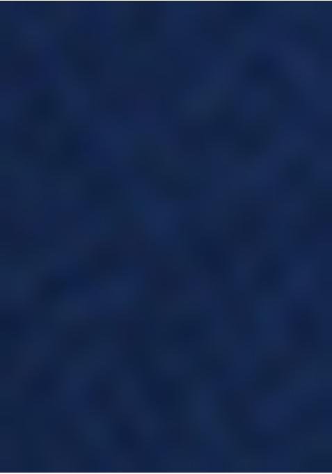 Greyish Blue Georgette Embroidered Crop Top Skirt Set