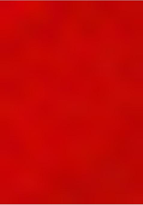 Red Raw Silk Embroidered Lehenga Set