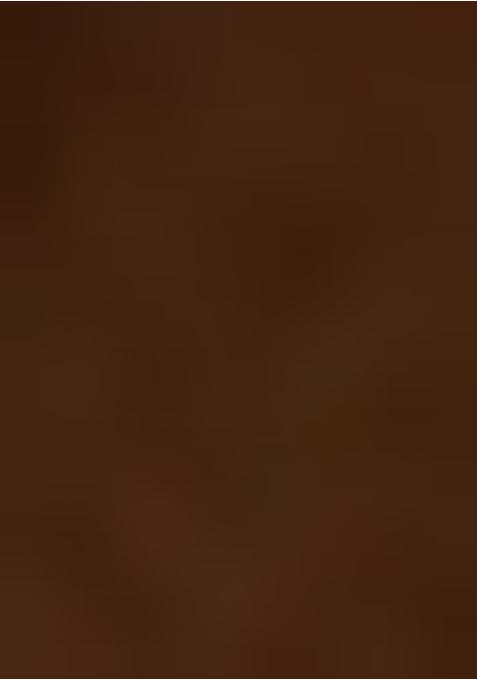 Deep Brown Georgette Embellished Blouse Pre Draped Saree Set