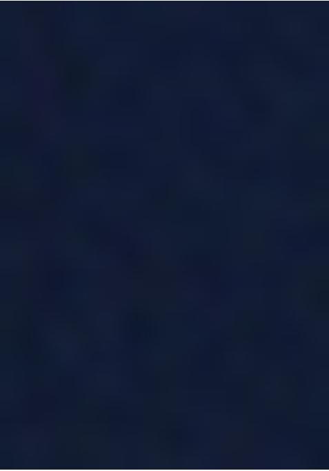 Navy Blue Georgette Embroidered Blouse Pre Draped Saree Set