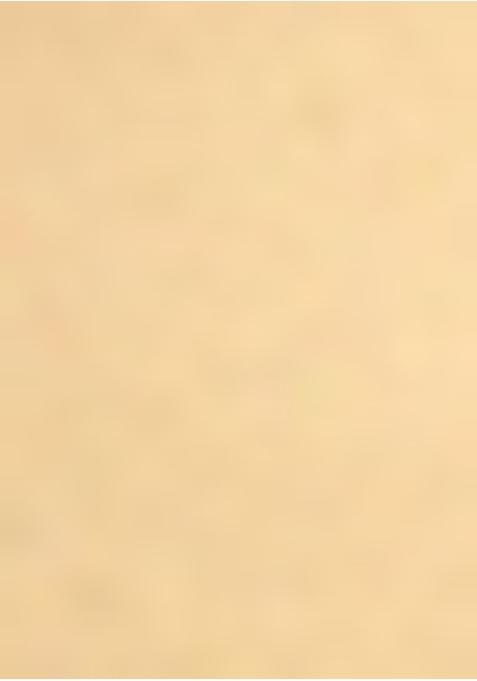 Beige Chinon Embroidered Blouse Pre Draped Saree Set