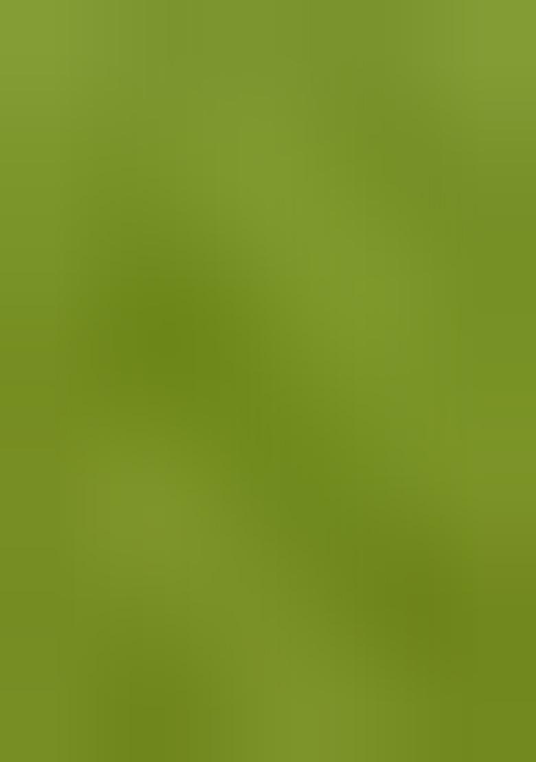 Lime Green Georgette Printed Blouse Pre Draped Saree Set