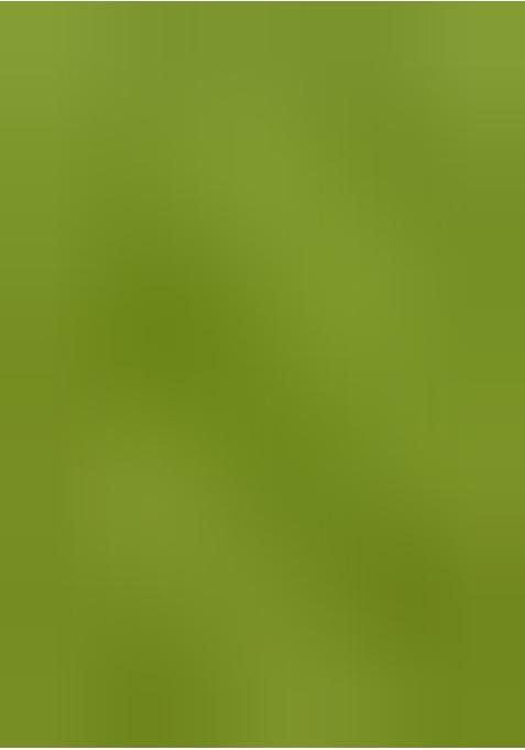 Lime Green Georgette Printed Blouse Pre Draped Saree Set