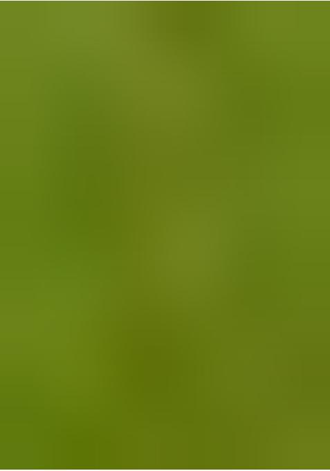 Lime Green Georgette Printed Blouse Pre Draped Saree Set