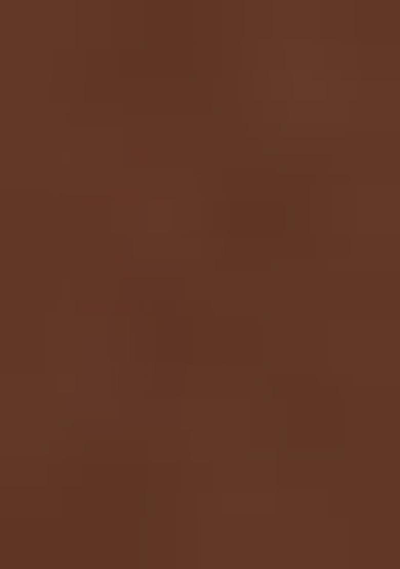 Brown Embroidered Blouse Georgette Pre Draped Saree Set